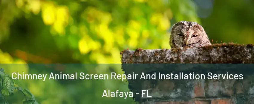  Chimney Animal Screen Repair And Installation Services Alafaya - FL