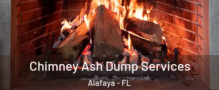  Chimney Ash Dump Services Alafaya - FL