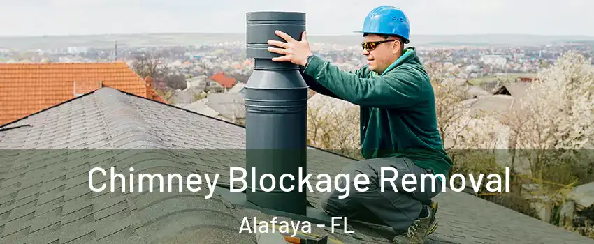  Chimney Blockage Removal Alafaya - FL