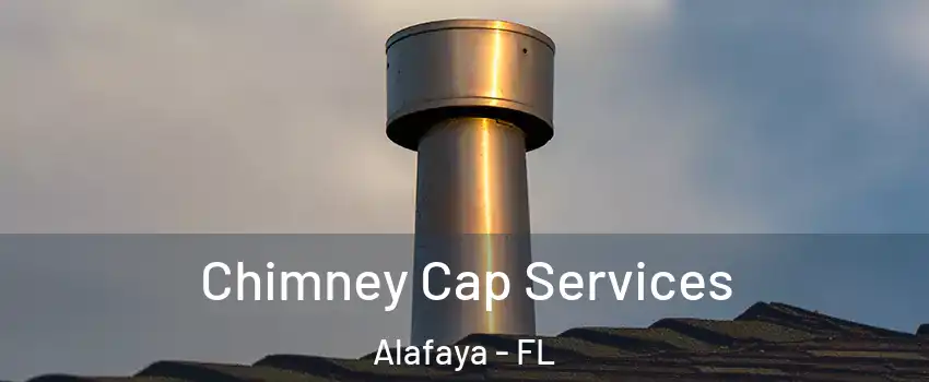  Chimney Cap Services Alafaya - FL