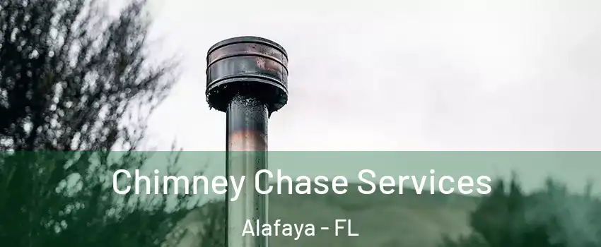  Chimney Chase Services Alafaya - FL