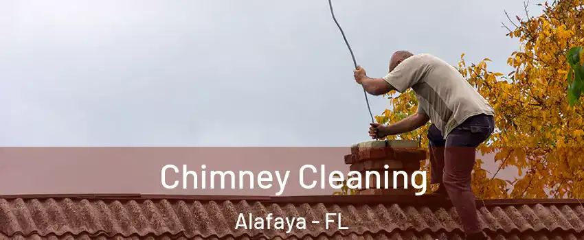  Chimney Cleaning Alafaya - FL