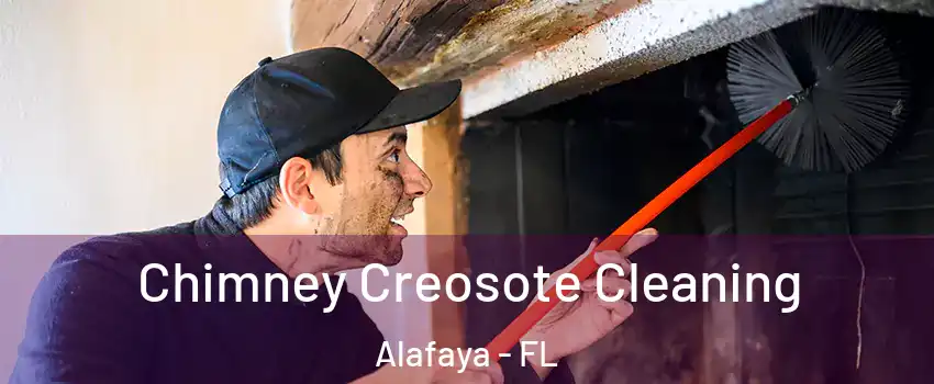  Chimney Creosote Cleaning Alafaya - FL