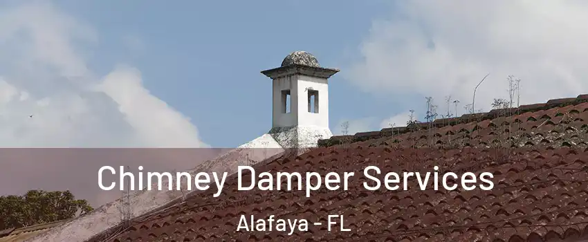  Chimney Damper Services Alafaya - FL