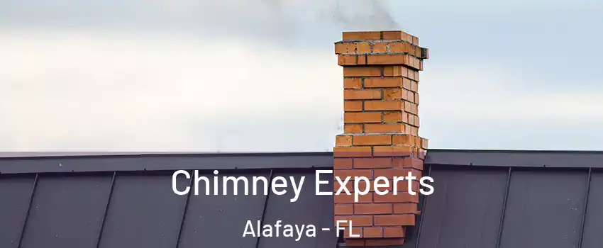  Chimney Experts Alafaya - FL
