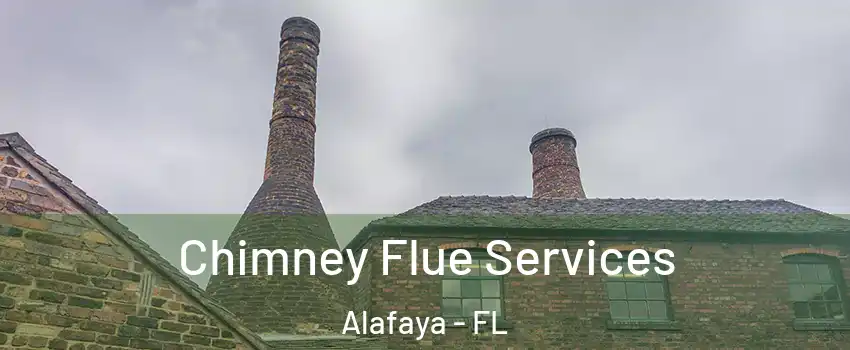  Chimney Flue Services Alafaya - FL