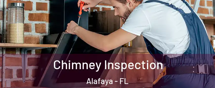  Chimney Inspection Alafaya - FL