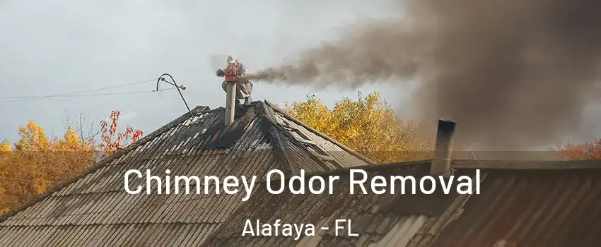  Chimney Odor Removal Alafaya - FL