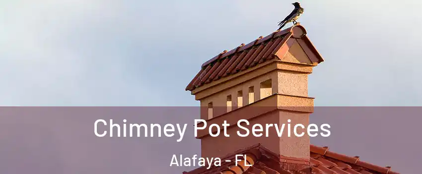  Chimney Pot Services Alafaya - FL
