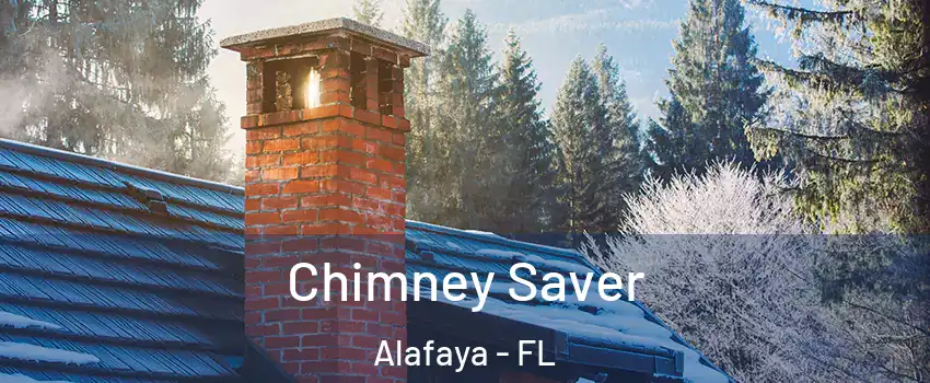  Chimney Saver Alafaya - FL