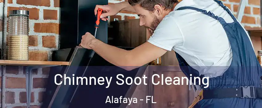  Chimney Soot Cleaning Alafaya - FL