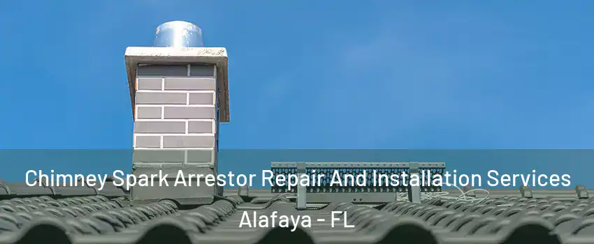  Chimney Spark Arrestor Repair And Installation Services Alafaya - FL