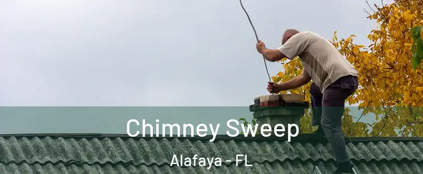  Chimney Sweep Alafaya - FL