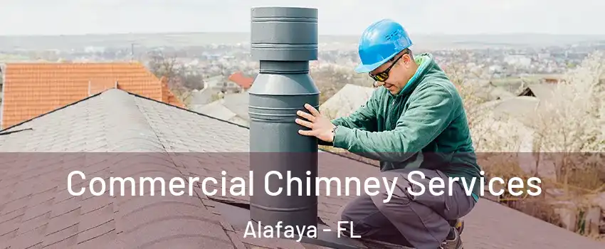  Commercial Chimney Services Alafaya - FL