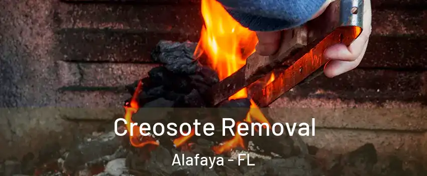  Creosote Removal Alafaya - FL