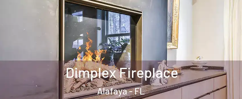  Dimplex Fireplace Alafaya - FL