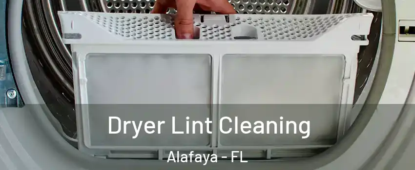  Dryer Lint Cleaning Alafaya - FL