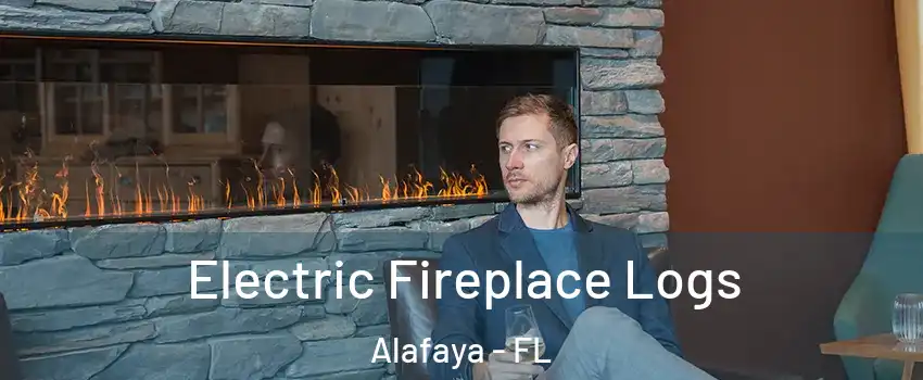  Electric Fireplace Logs Alafaya - FL