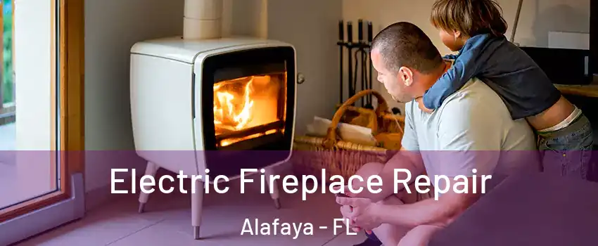  Electric Fireplace Repair Alafaya - FL