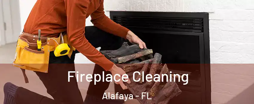  Fireplace Cleaning Alafaya - FL