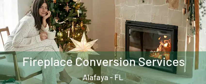  Fireplace Conversion Services Alafaya - FL