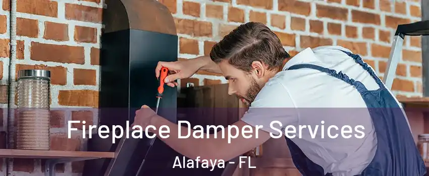  Fireplace Damper Services Alafaya - FL
