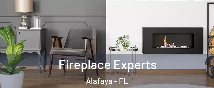  Fireplace Experts Alafaya - FL