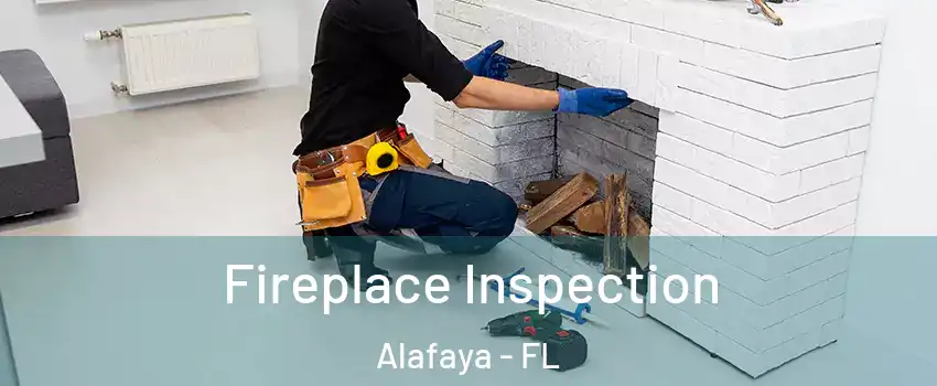  Fireplace Inspection Alafaya - FL