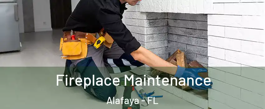  Fireplace Maintenance Alafaya - FL