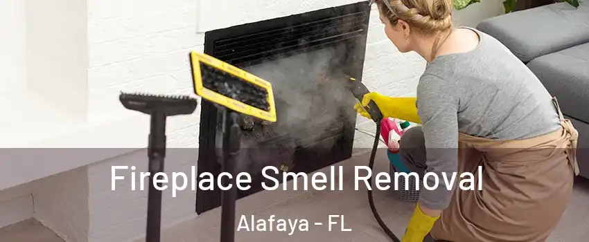  Fireplace Smell Removal Alafaya - FL