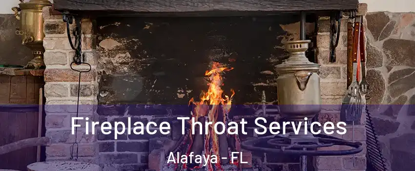  Fireplace Throat Services Alafaya - FL