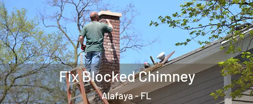  Fix Blocked Chimney Alafaya - FL