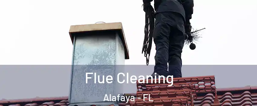  Flue Cleaning Alafaya - FL