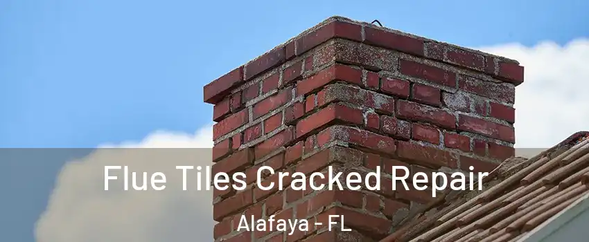  Flue Tiles Cracked Repair Alafaya - FL