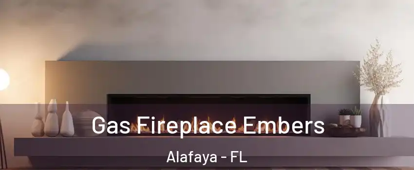  Gas Fireplace Embers Alafaya - FL