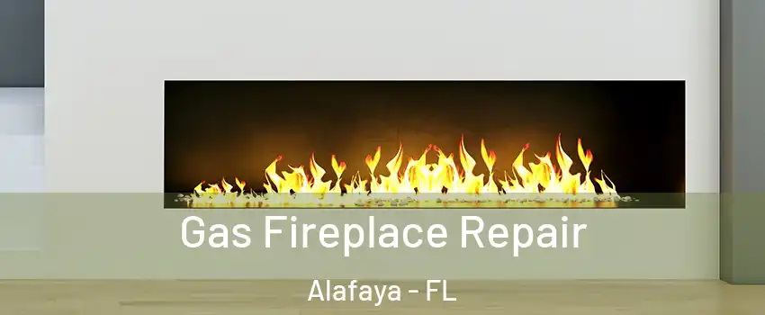  Gas Fireplace Repair Alafaya - FL