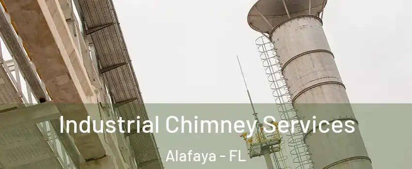  Industrial Chimney Services Alafaya - FL