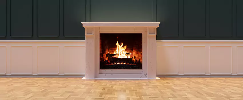 Napoleon Electric Fireplaces Inspection Service in Alafaya, Florida