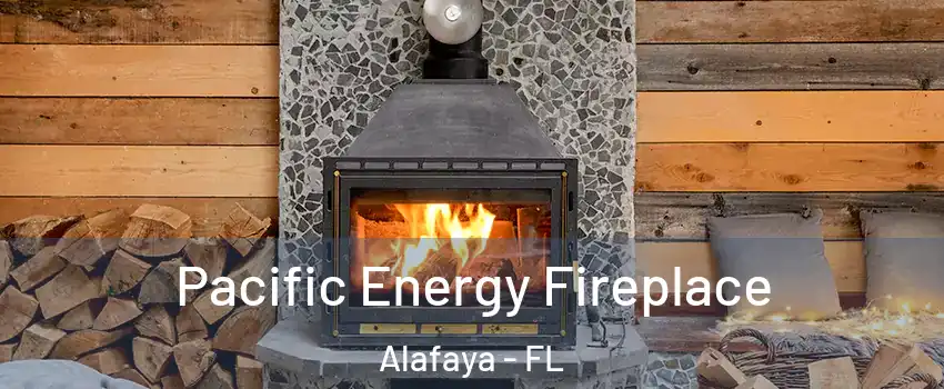  Pacific Energy Fireplace Alafaya - FL
