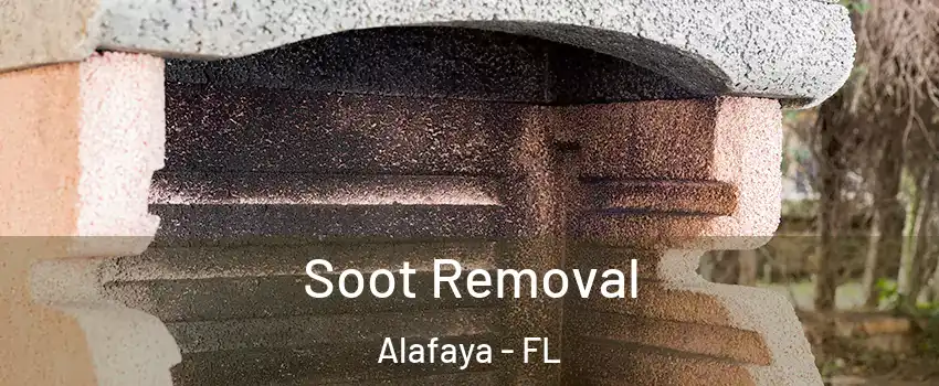 Soot Removal Alafaya - FL