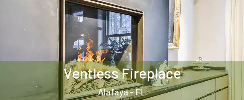  Ventless Fireplace Alafaya - FL