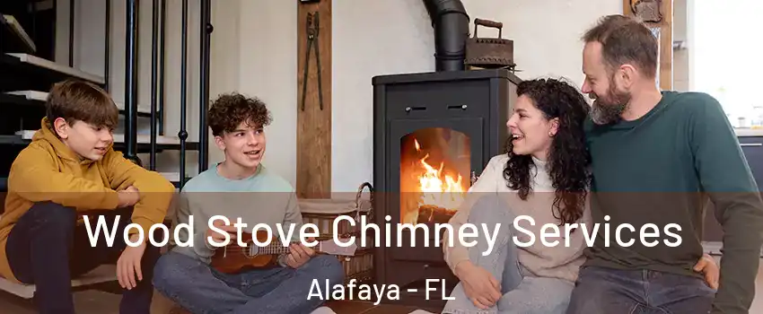  Wood Stove Chimney Services Alafaya - FL