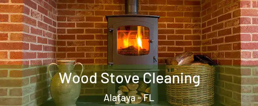  Wood Stove Cleaning Alafaya - FL